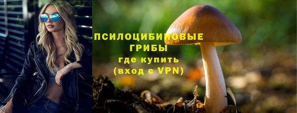 экстази Горняк