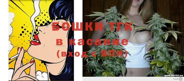 экстази Горняк