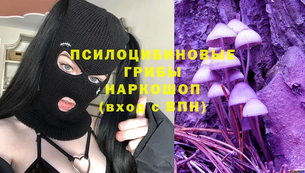 МДПВ Гусь-Хрустальный