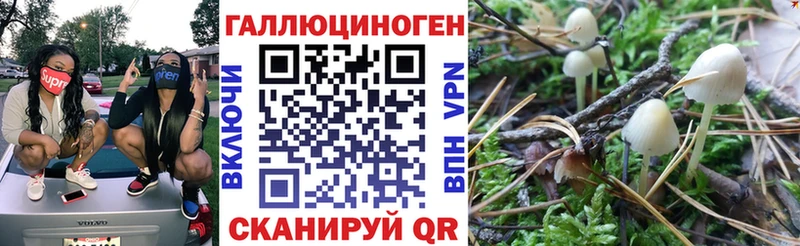 Псилоцибиновые грибы Psilocybe  Шадринск 